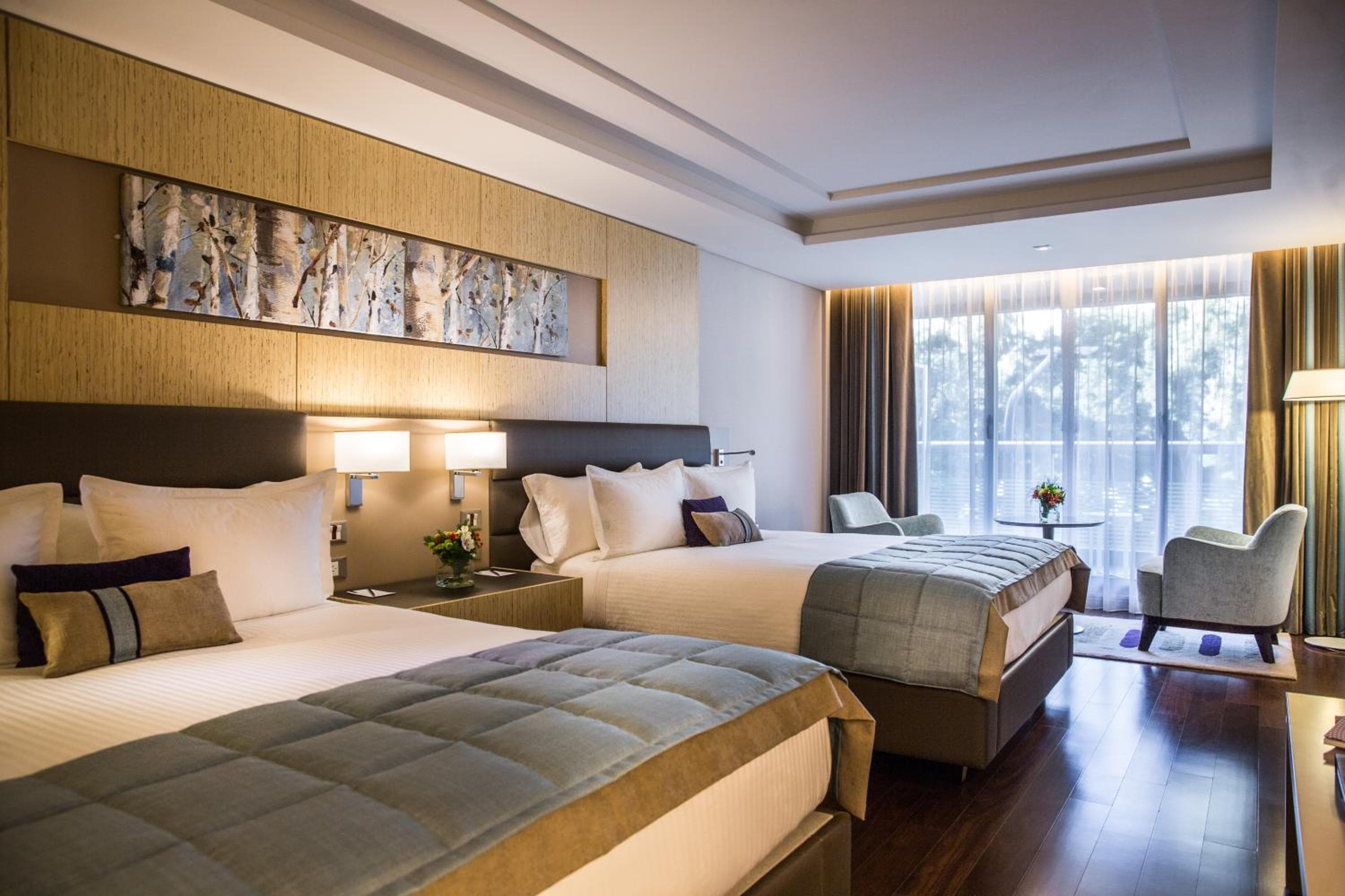 Suite Deluxe con Dos Camas Dobles, Balcón y Vista al Parque