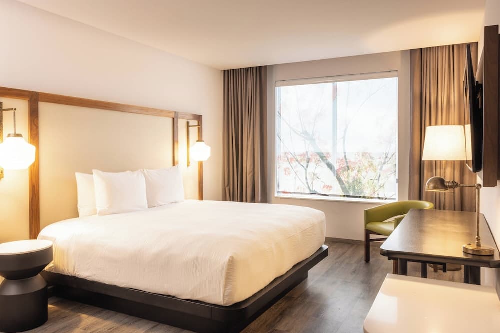 Room, 1 King Bed