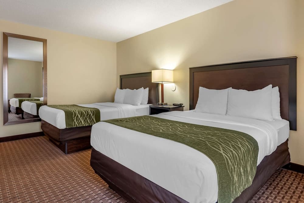 Double Room, 2 Double Beds, Non-Smoking