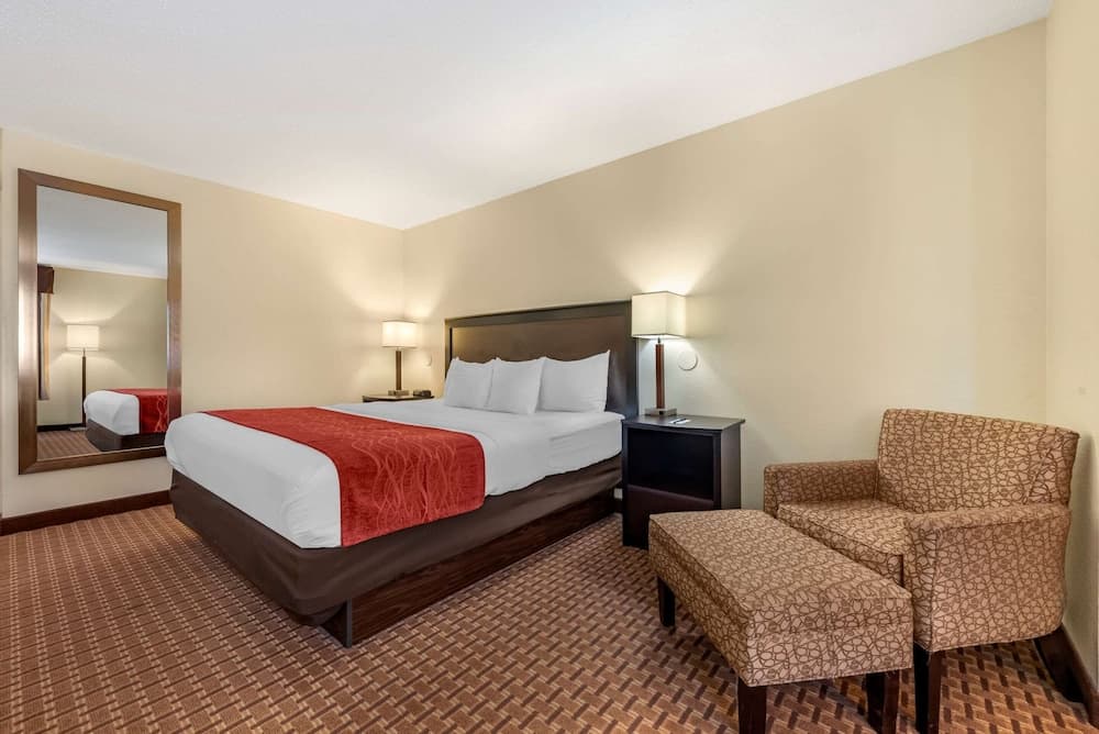 Standard Room, 1 King Bed, Non-Smoking