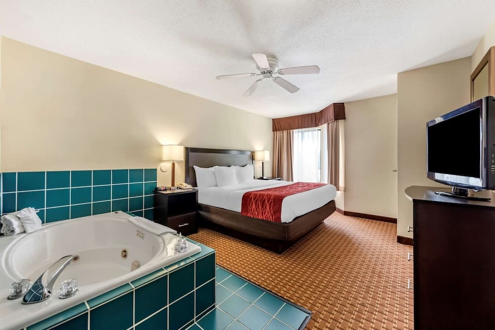 Suite, 1 King Bed